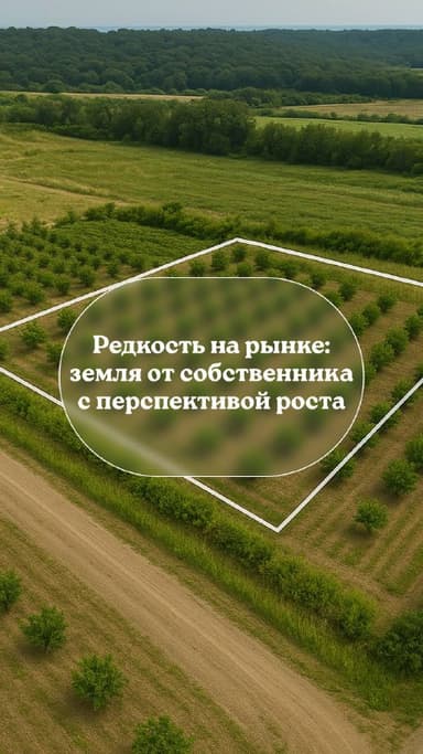 Уникальные земельные участки в Турции по лучшим ценам